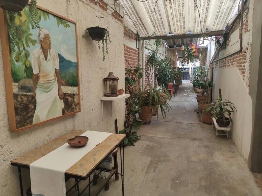 The Azul Flat Room Oaxaca Eksteriør billede